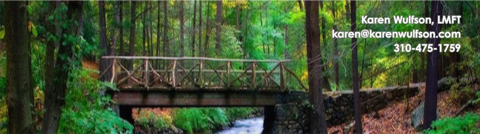 Counseling and Therapy to Reduce your Stress, Anger, and Conflict